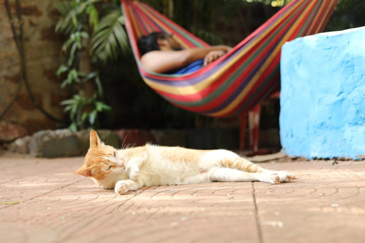 Goanvibes Hostel Andzsuna Kültér fotó